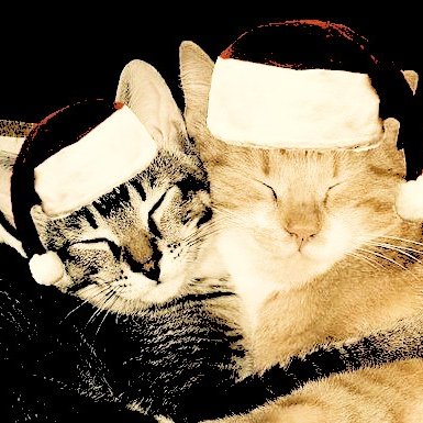 ͏ ͏ ͏ ͏ ͏ ͏ ͏ ͏ ͏ ͏ ͏ ͏ ͏ ͏ ͏ ͏ ͏
͏ ͏ ͏ ͏ ͏ ͏ ͏ ͏ ͏ ͏ ͏ ͏ ͏ ͏ ͏ ͏ ͏MERRY XMAS!! 
͏ ͏ ͏ ͏ ͏ ͏ ͏ ͏ ͏ ͏ ͏ ͏ ͏ ͏ ͏ ͏ ͏