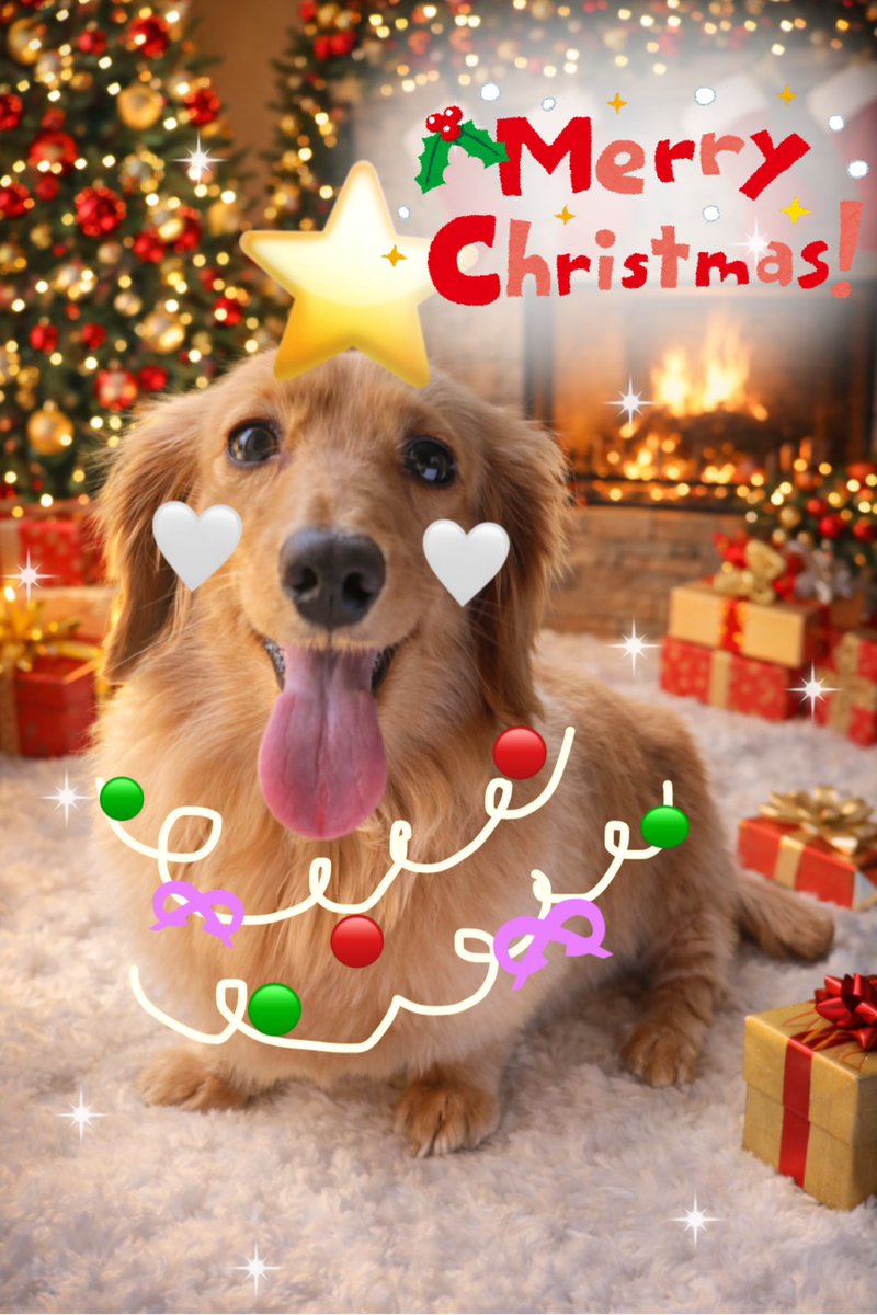 えるちん tweet media