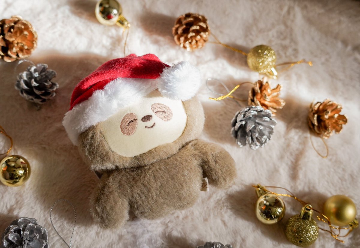 zoopi ズッピー (@k_zoopi) / Posts / X