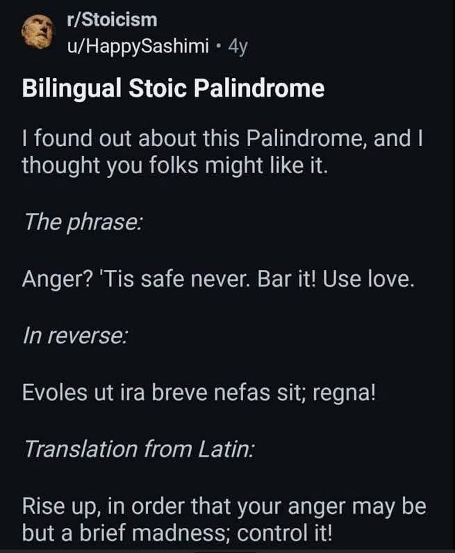 I have never seen a bilingual palindrome!