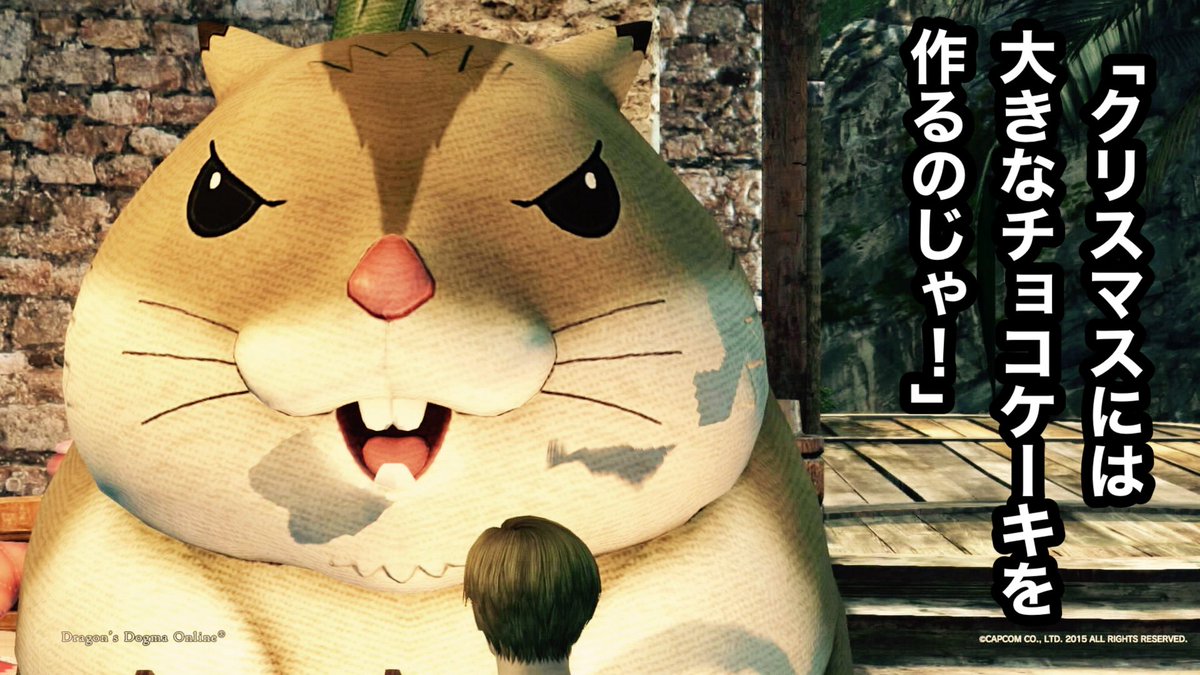 エルの日常 tweet media