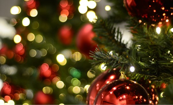 ¡Feliz Navidad! Les deseo a todos una muy feliz navidad junto a sus familias y amigos. Que la luz de Dios bendiga sus hogares y los llene de amor, paz y prosperidad. #FelizNavidad #MerryChristmas #Bogotá #Cundinamarca #Colombia 🎄