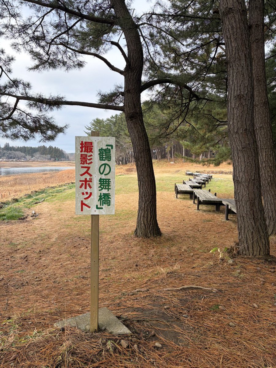 鶴の舞橋改修工事期間中の見学について dlvr.it/TQ0b46