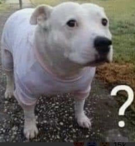 MERINE 𐂂 tweet media