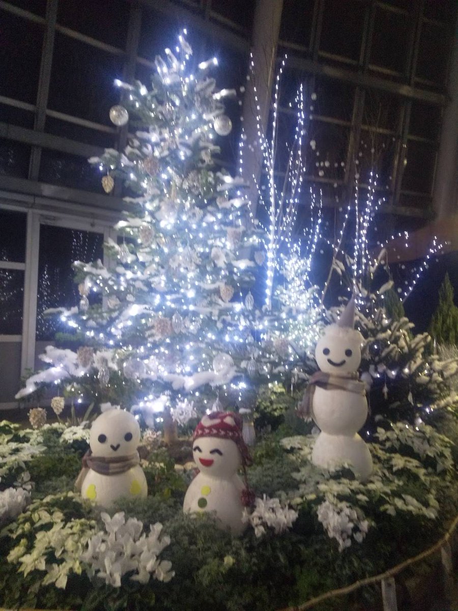 003_chitose's tweet photo. 安城市のデンパーク
クリスマス・イブの朗読、無事に終わりました〜
聞いてくださったお客様、ありがとうございました🤗🤗🤗
雨が降ってても素敵なクリスマスツリー🎄が見られますよ❣️温室があるから、是非どうぞ💕
#デンパーク
#クリスマスツリー
#雨でも素敵 https://t.co/eVsIQEiSIC