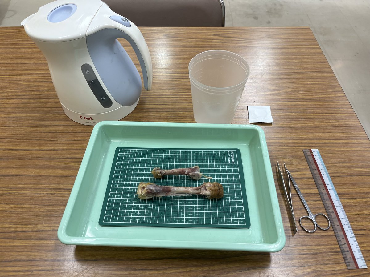 岡山理科大学 恐竜学博物館 tweet media