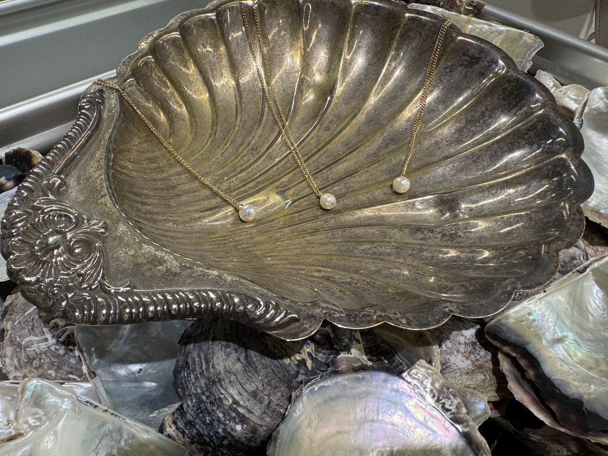 真珠取り出し体験をする #2025あい100
うーたんのきちゃんとやってきた！かわいいネックレス作れたよ🥰愛着湧きすぎている