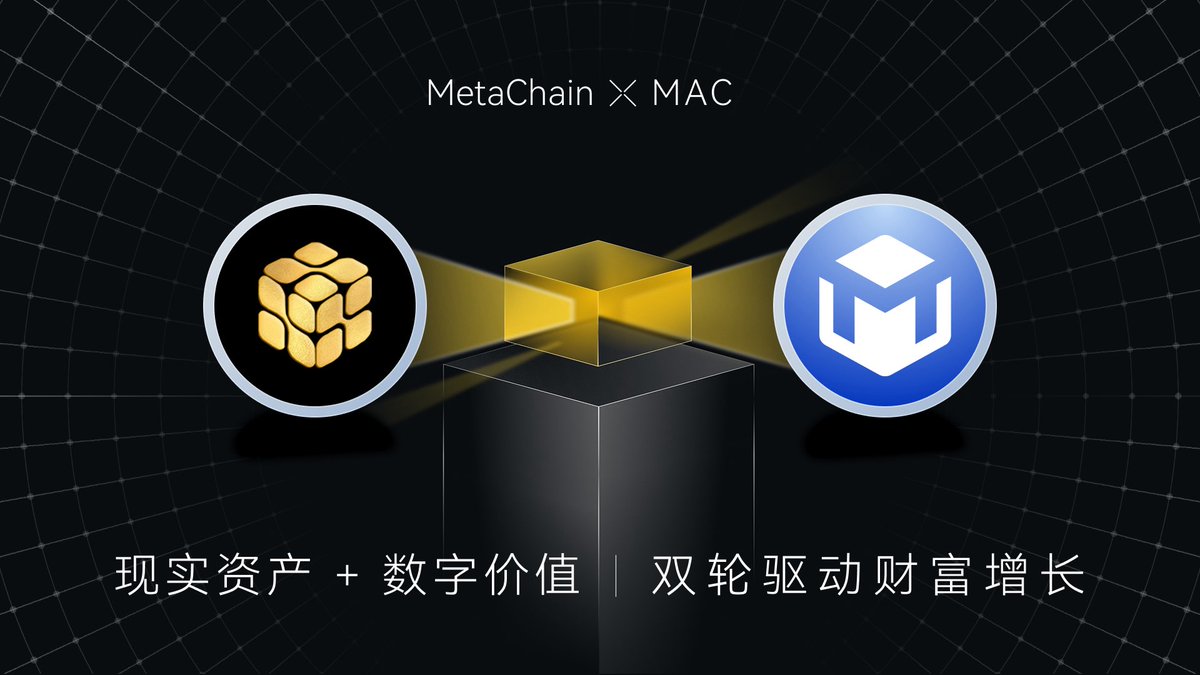 MetaChainClub tweet media