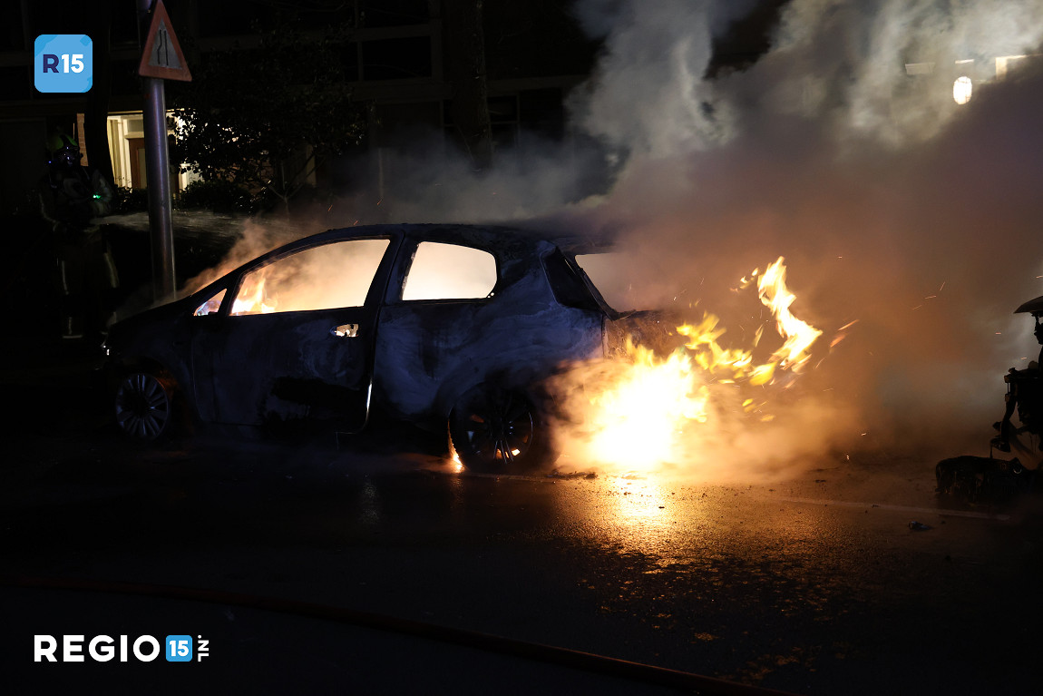 Twee auto's door brand verwoest in Monster