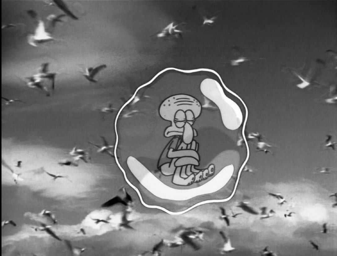 internet user tweet media