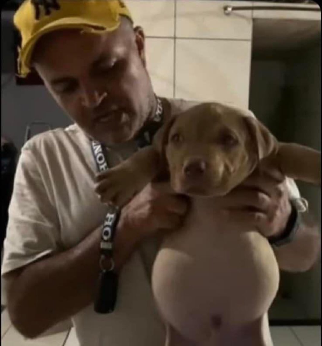 DiloConPerritos's tweet image. Yo después de la cena de Navidad 🎄