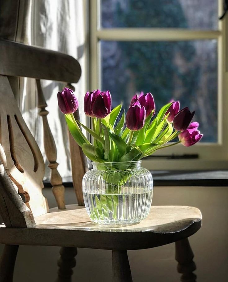 forensicskm's tweet image. اصبحنا وأصبح الملك لله والحمدلله 
صباح الخير⛅️