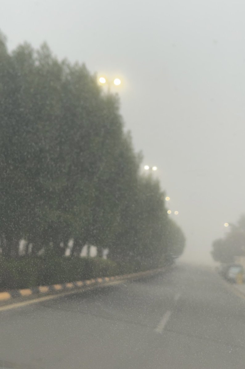 #صباح_الخير 
ديسمبر.... بردٌ يلسع الوجه، 
وضبابٌ يغطي الأرض،
وشمسٌ متسلّلة بخيوطٍ من نور،
وقهوةٌ ساخنة تهمس للروح بالدفء.

حتى في أبرد اللحظات،
الحياة تحمل لحظة نور،
وأملًا صغيرًا يدفئ القلب.