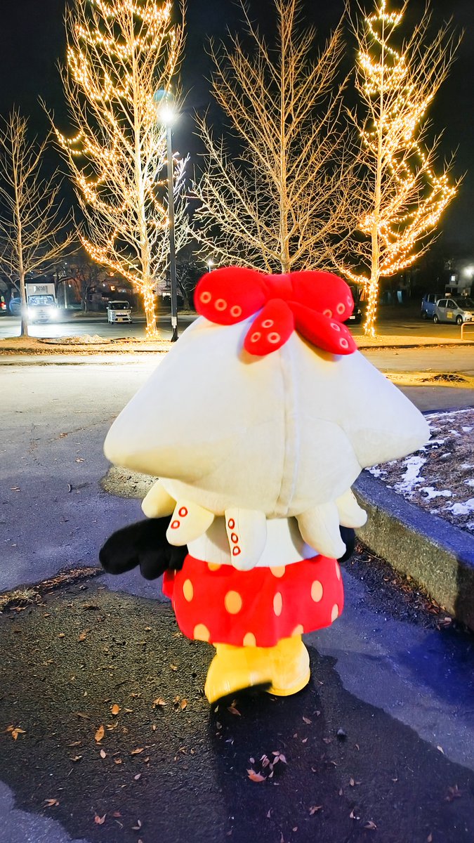 ご当地キティ ファスナーマスコット 水族館 八丈島 いか 希少】ご当地