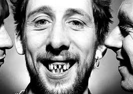 🎼 𝕊𝕋𝔼𝕍𝔼™ tweet media