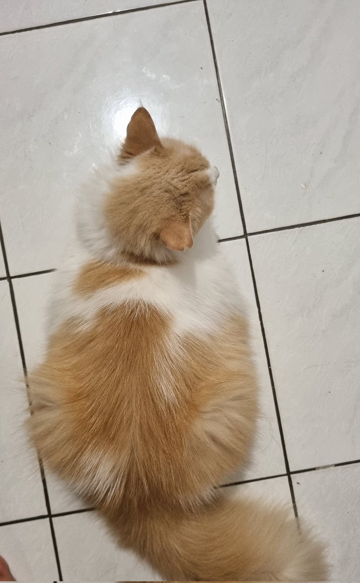 Rasa2nya ada makhluk berdiri diblkg ku ya