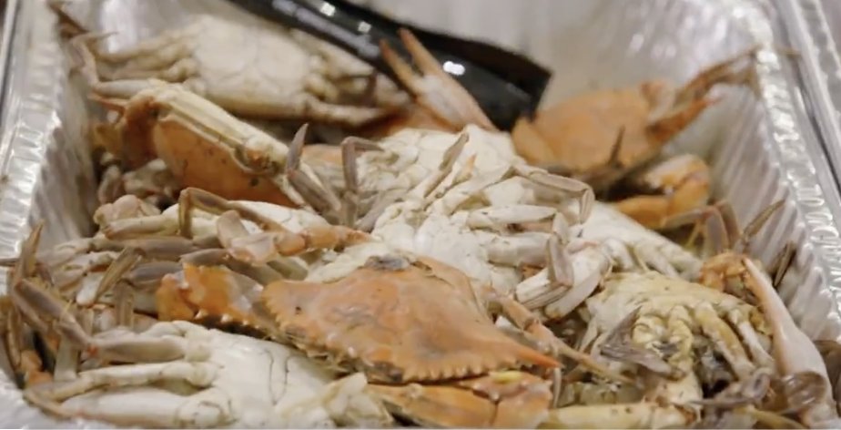 the maryland in me is UPSET because WHO brought these crabs?!? #rhop