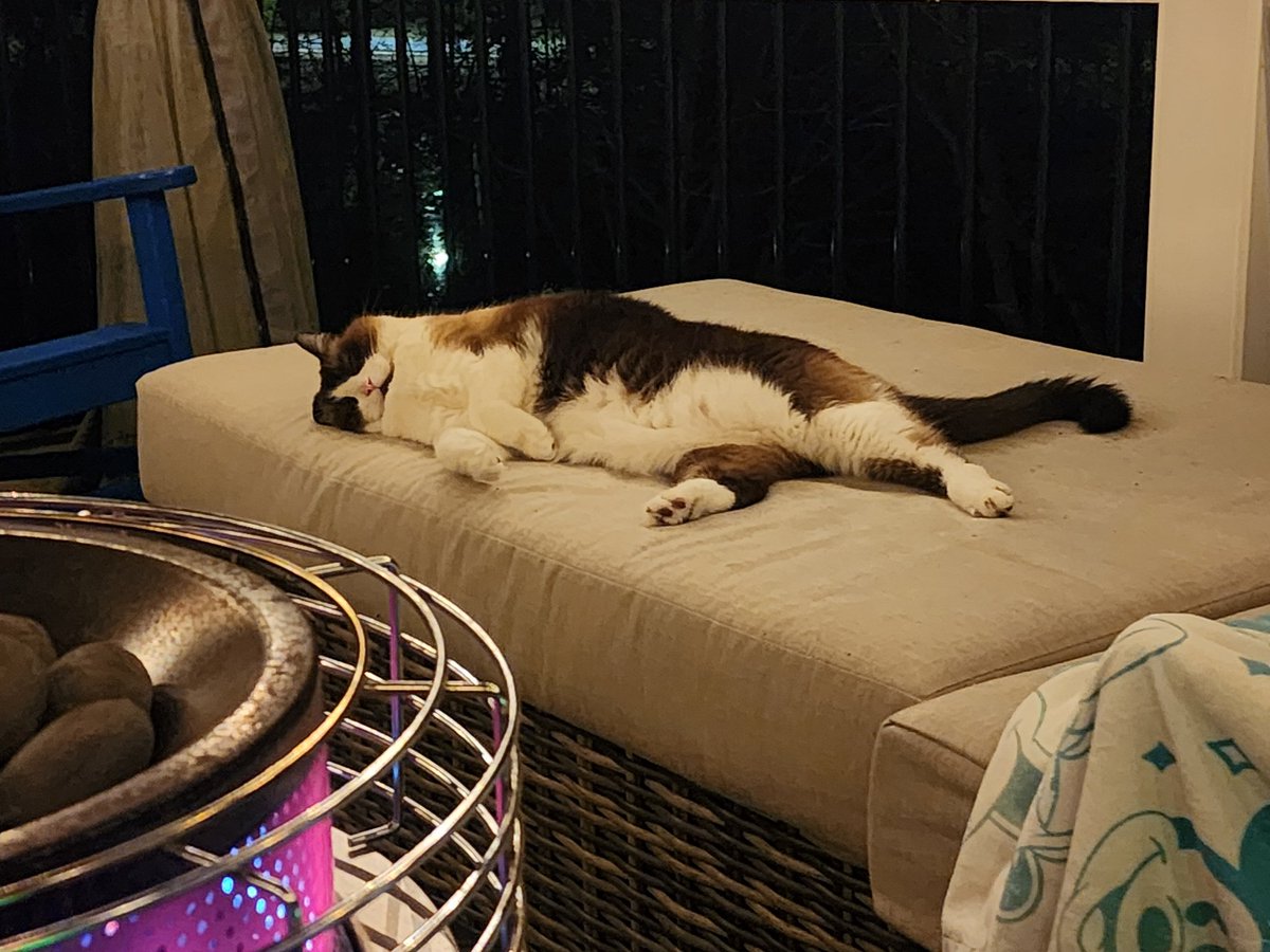 Sir Can Pirate tweet media