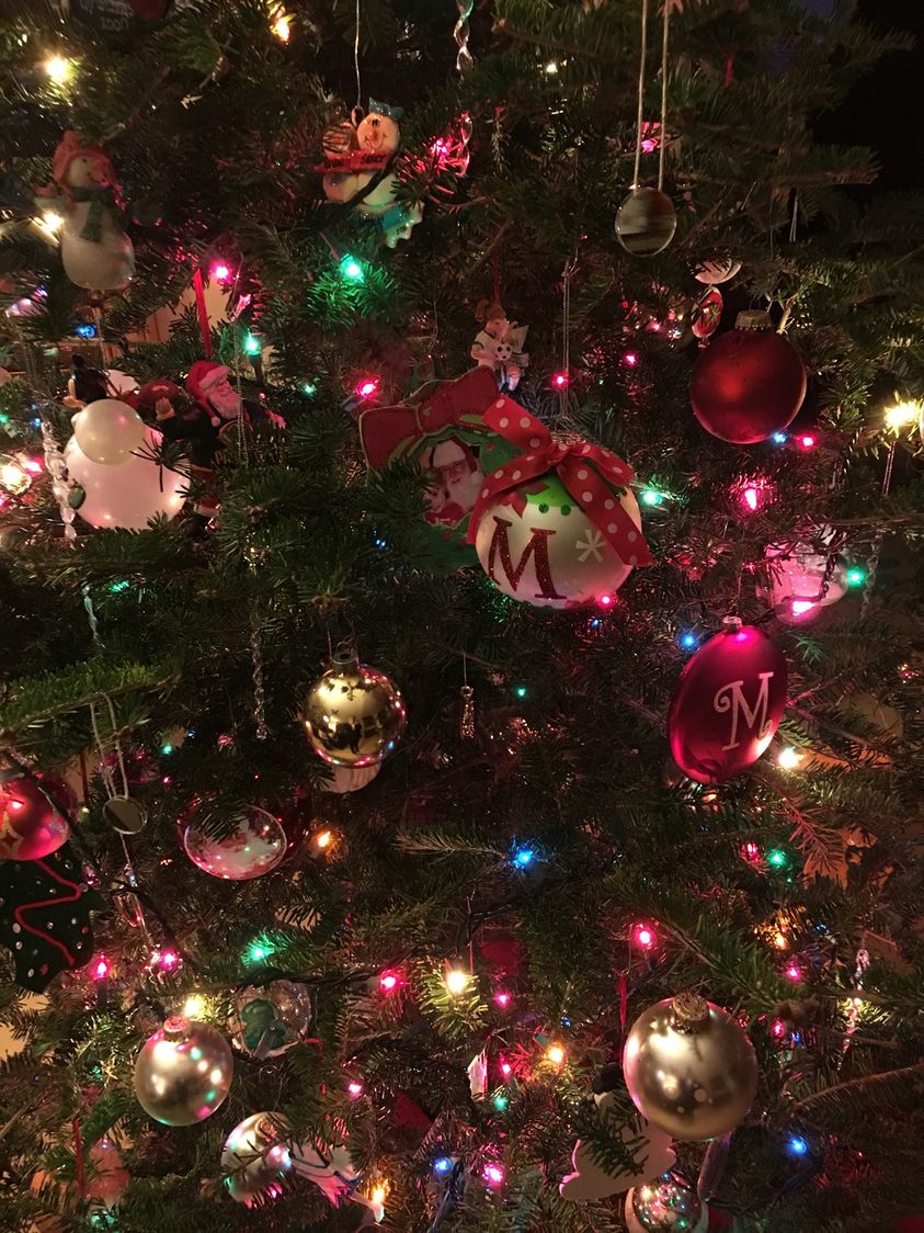 Janet Masters tweet media