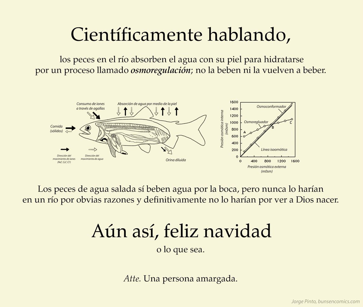 Feliz Navidad y un próspero Año Nuevo.