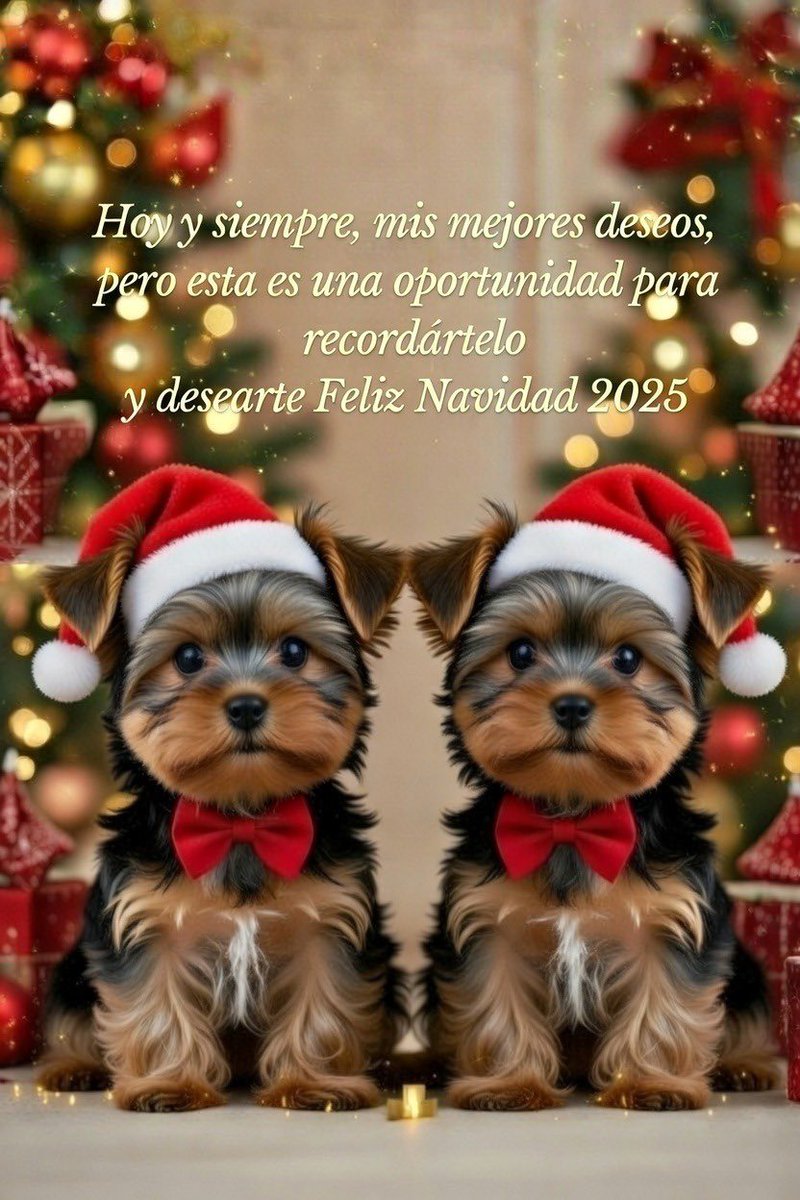 #FelizNavidad2025 #MerryChristmas

Mis mejores deseos 🎄