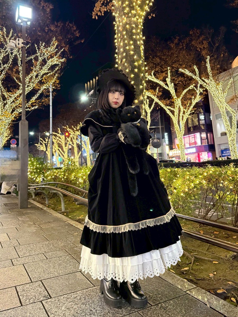 💫おすすめアイテム💫 【Victorian maiden】 ベルベットローゼンドレス