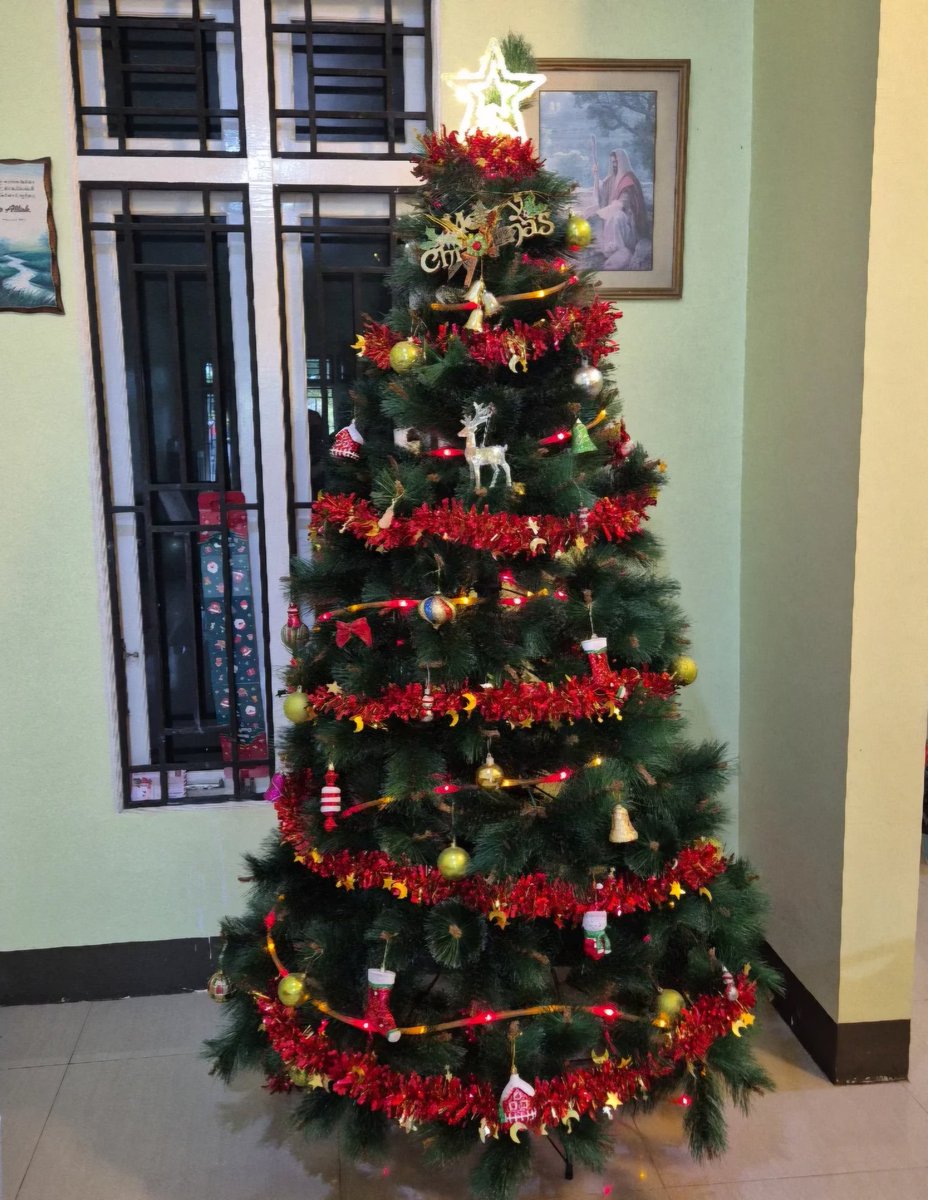 Merry Christmas!🎁🎄⛪️