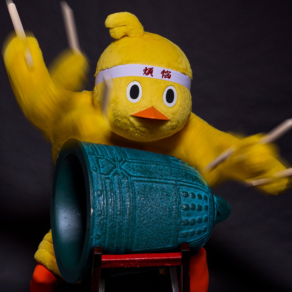 ひよこ豆 (@hiyo_piron) / Posts / X