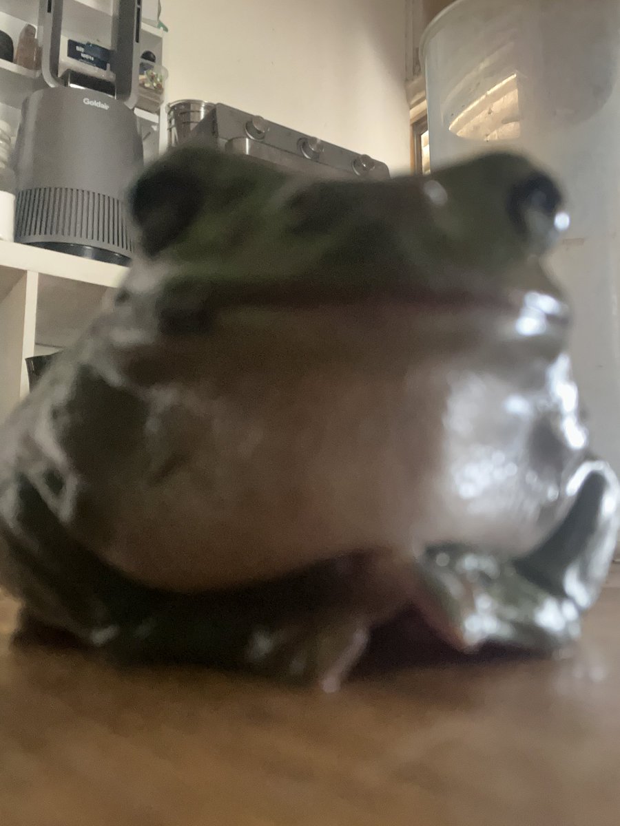 eodon25's tweet image. froobert being stupid