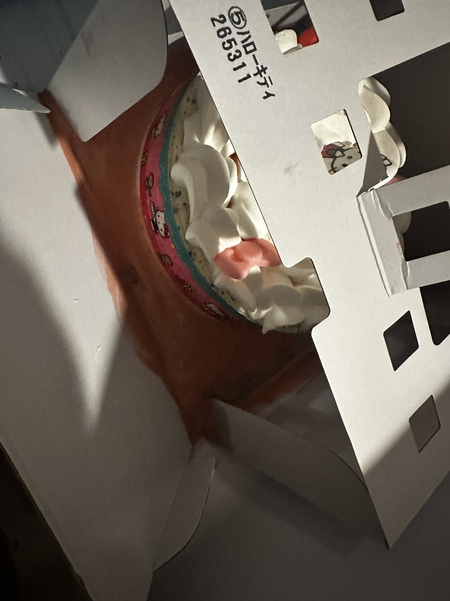 パパがアイスケーキ、冷蔵庫にいれてほぼ溶けた😤💢 可愛く撮りたかっ