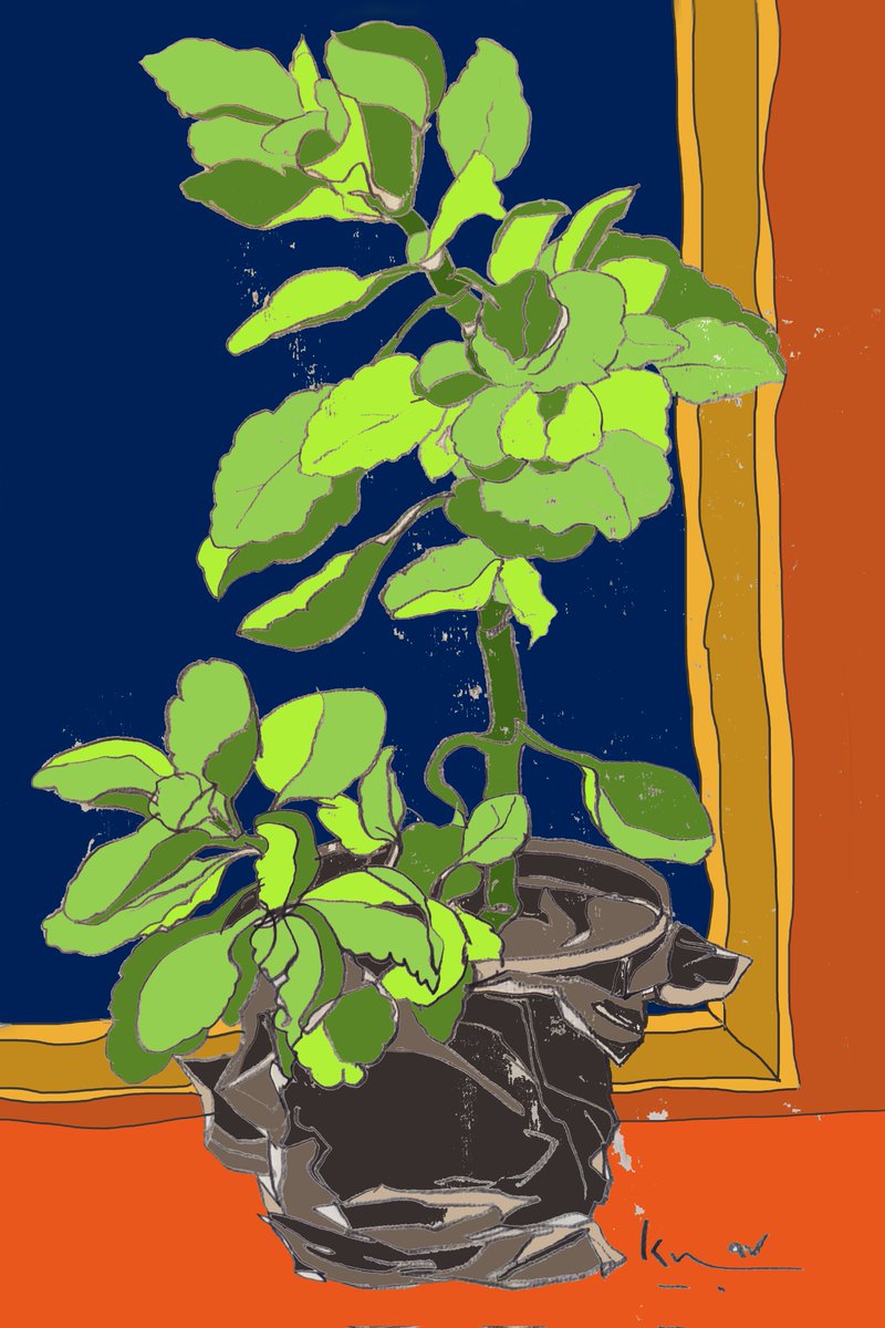 Diba ADIB tweet media