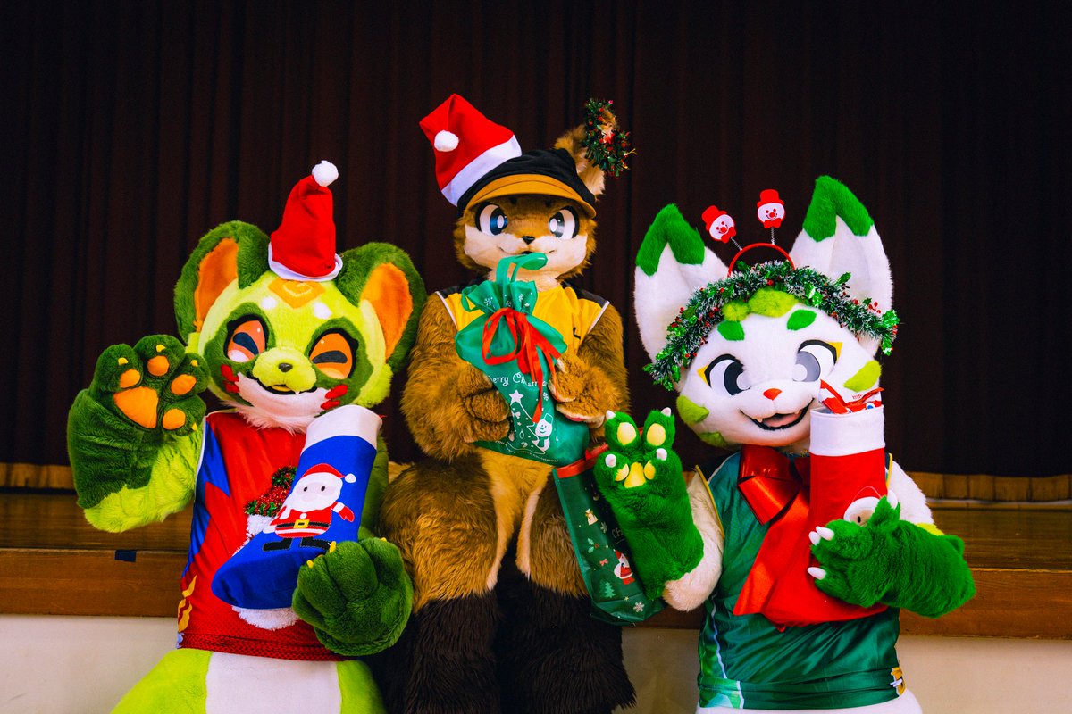 茶々丸 (@chachamaru_reef) / Posts / X