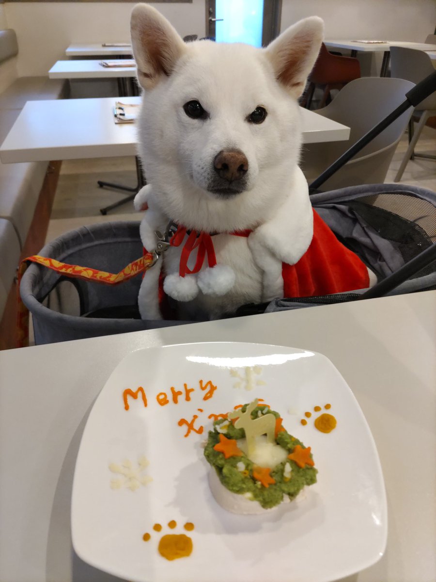 水瓶座♒️ちろ (@xYWsDRmcZE9m1g7) / Posts / X