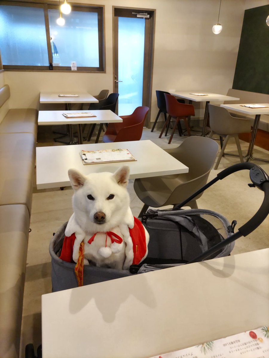 水瓶座♒️ちろ (@xYWsDRmcZE9m1g7) / Posts / X