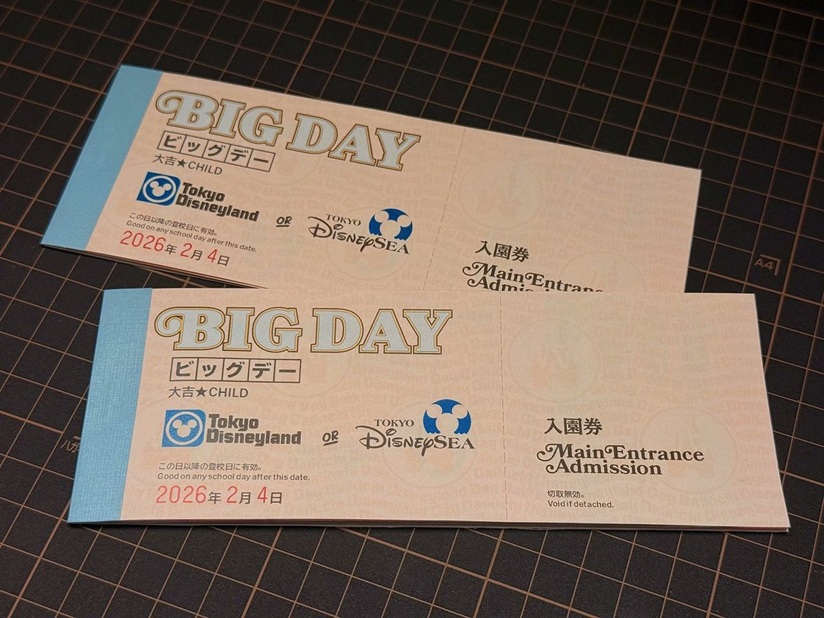 エキスポランド乗りもの券 親友のルイが受験勉強中の息子のクリスマスプレゼントのために