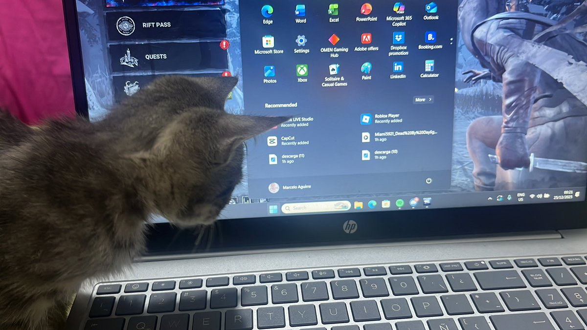 marce59200's tweet photo. @DbDBHVR_ES  it’s available again!!!!! On steam btw https://t.co/tub9xE49Sv