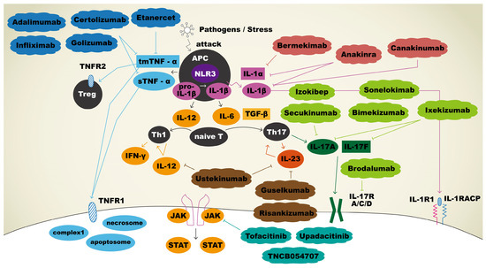 Biomed_MDPI's tweet photo. #FutureOfMedicine #BiotechAdvancements
πΎπ Dive into the World of Biomedicines with Us! π
π§ Title: Hidradenitis Suppurativa: An Understanding of Genetic Factors and Treatment π
π https://t.co/CUoZOtidyr π
#ScienceAndMedicine
@MDPIOpenAccess @MDPIBiologySubj https://t.co/kn4bRcmQTE