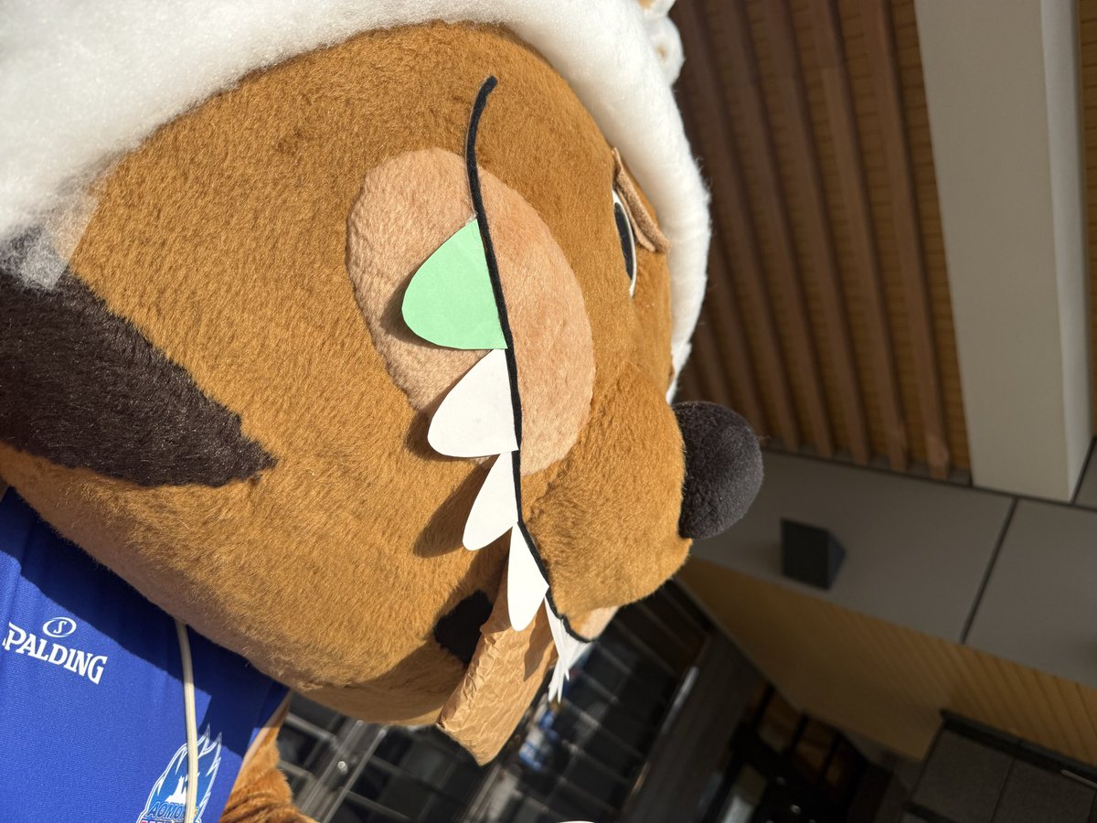 公式】クイッキー・デッチ (@quicky_decchi) / Posts / X