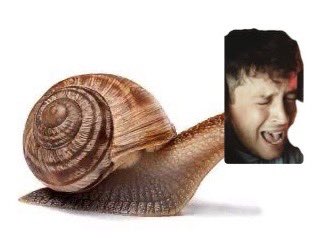 Maxx “C” 🏳️‍🌈 tweet media