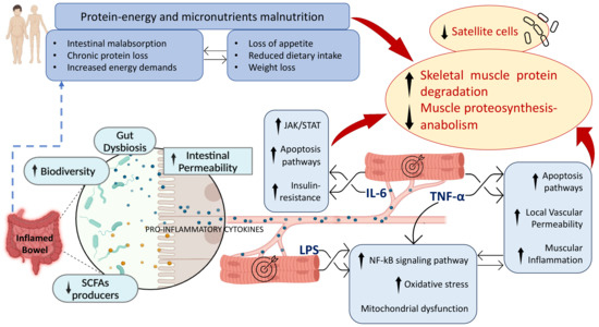 Biomed_MDPI's tweet photo. #recommendedpaper #MustRead #IndustryTrends #InsightfulRead
Today's recommended article is as follows:๐ค
Title: Navigating the Intersection: Sarcopenia and Sarcopenic Obesity in Inflammatory Bowel Disease
Check it out:๐ฅณ
https://t.co/0dKQzWhIL1
@MDPIOpenAccess @MDPIBiologySubj https://t.co/2xFHyTackb