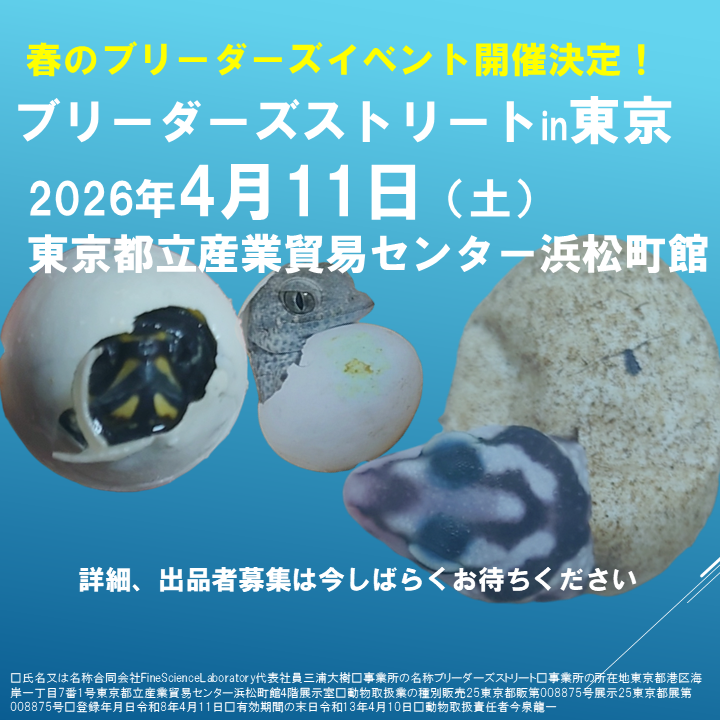 Koji Kawaguchi (@bronzegecko) / Posts / X