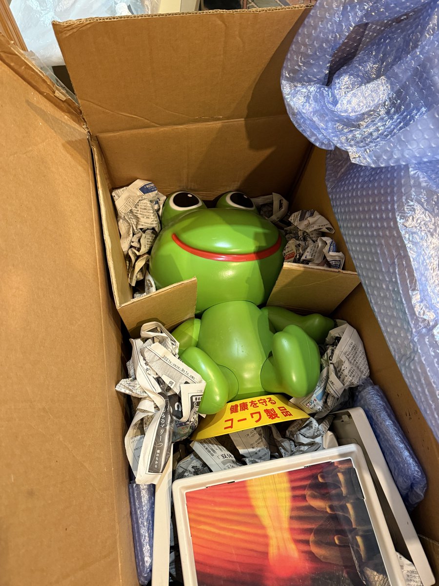 くじら12号 (@kuzira12go) / Posts / X