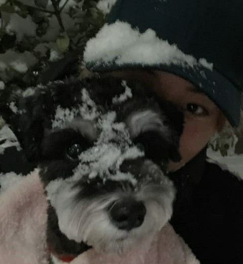 planetofjen's tweet image. #shse au | Baby, it’s cold outside 🏂

Suho is a world renowned Olympic snowboarder being put to work for the holidays. Sieun is a burnt out author suffering from writers block who has no choice when his friends drag him on their Christmas snowboarding trip up to the mountains.