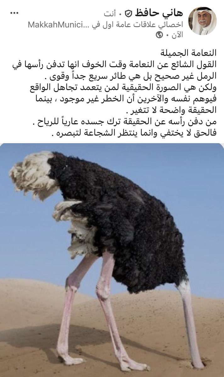 hanihafez2016's tweet photo. https://t.co/BfM9nFH6QV