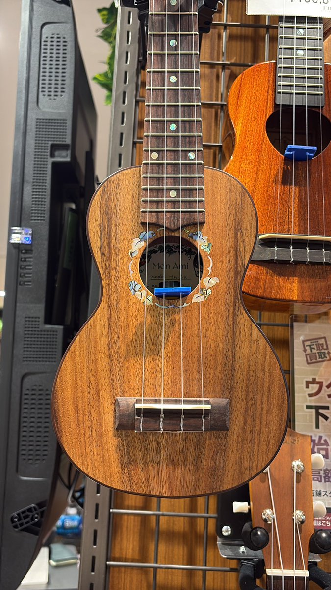 shima_kanamachi's tweet image. どのフォルムから見てもおしゃれな　#MonAmi  ウクレレが新入荷です♪( ´▽｀)
ハワイアンコアにしてオール単板‼️サウンドホールの周りがとんでもなく美しい一品です😭
#ウクレレ　#モナミ　#メリクリー