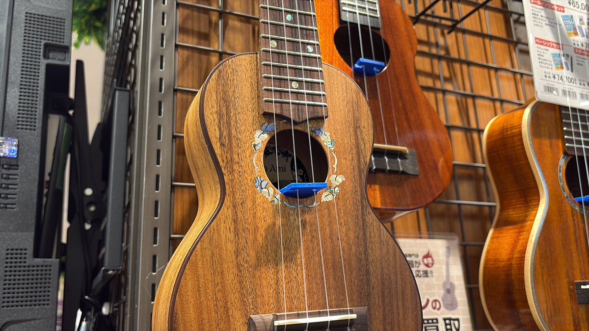 shima_kanamachi's tweet image. どのフォルムから見てもおしゃれな　#MonAmi  ウクレレが新入荷です♪( ´▽｀)
ハワイアンコアにしてオール単板‼️サウンドホールの周りがとんでもなく美しい一品です😭
#ウクレレ　#モナミ　#メリクリー