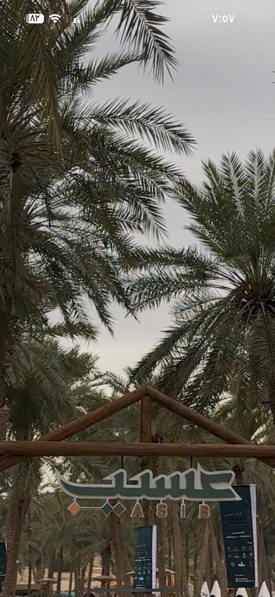 ibosh1398's tweet photo. شتاء القصيم
#عسيب

#صباح_الخير https://t.co/YwaITNjpjQ