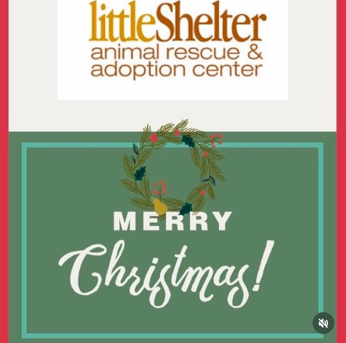 Little Shelter tweet media