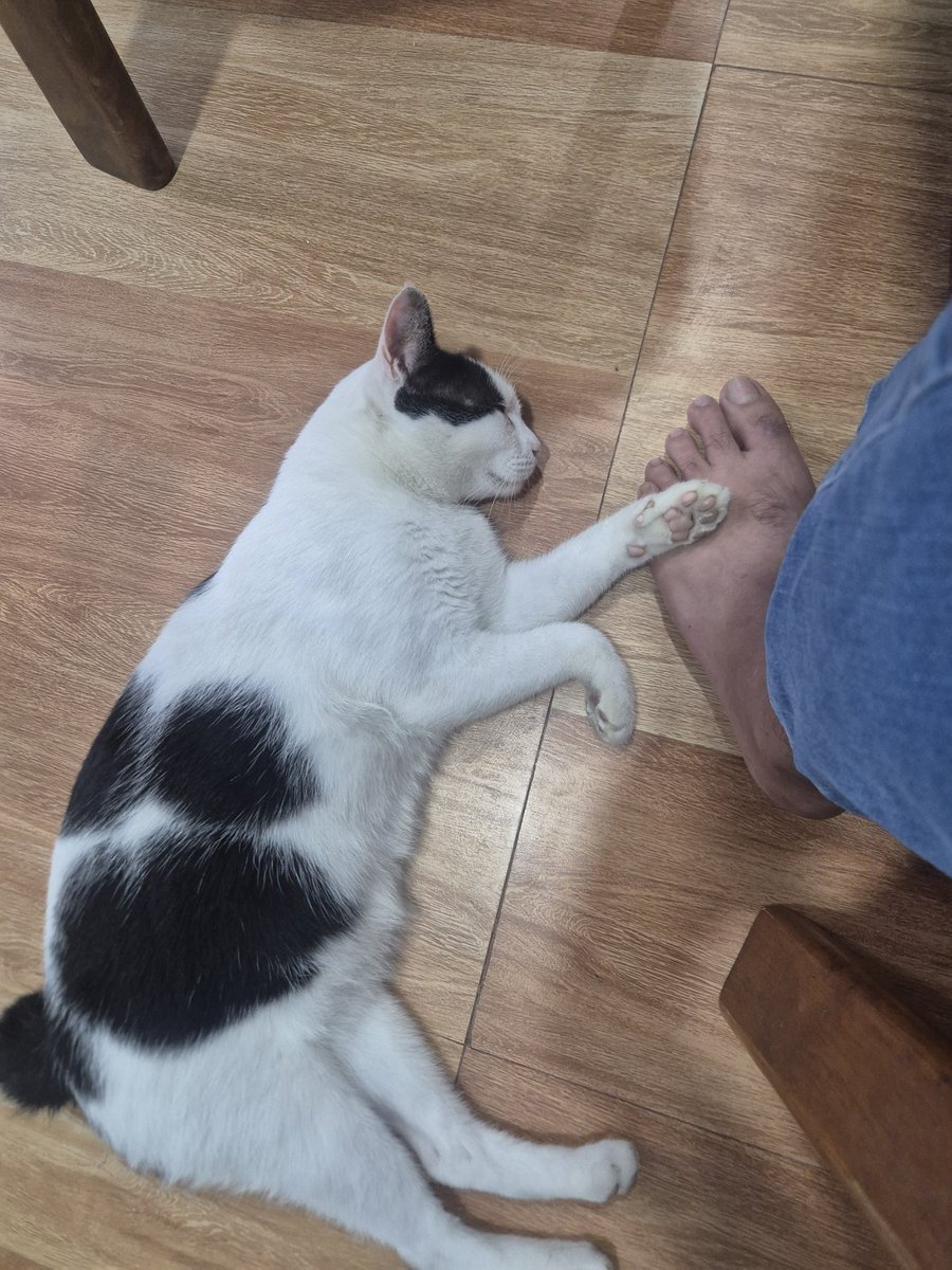 นอนเฉยๆไม่ได้ต้องเอาขามาเกยไว้ด้วยนะ