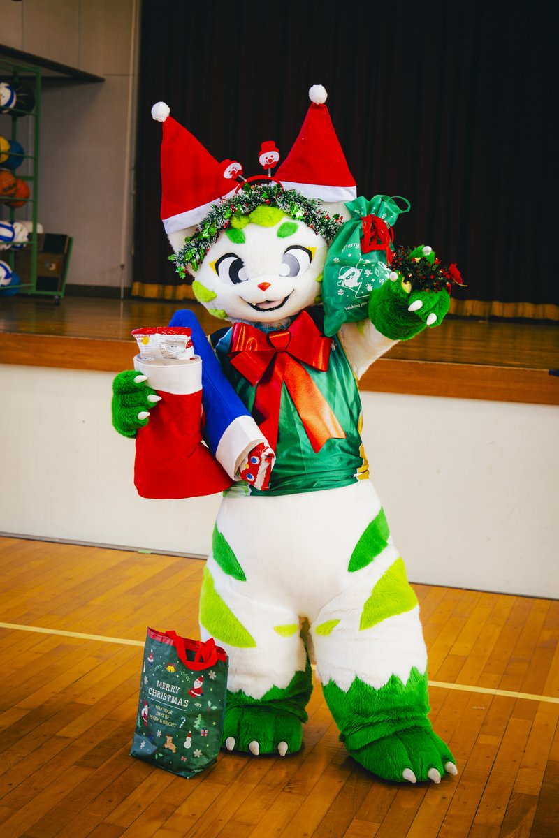 茶々丸 (@chachamaru_reef) / Posts / X